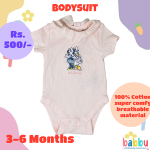 Bodysuits 3-6 Months  - Minnie and Ducky